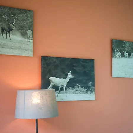 Bed & Breakfast Cerf'titude Erezee