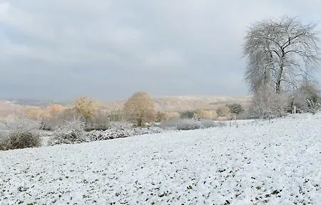 Cerf'titude 4* Érezée