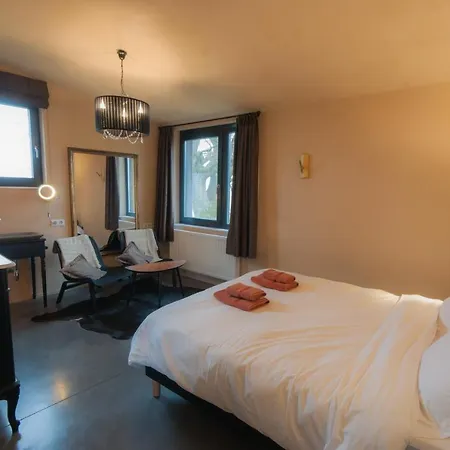 Cerf'titude Érezée