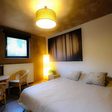 Cerf'titude Érezée