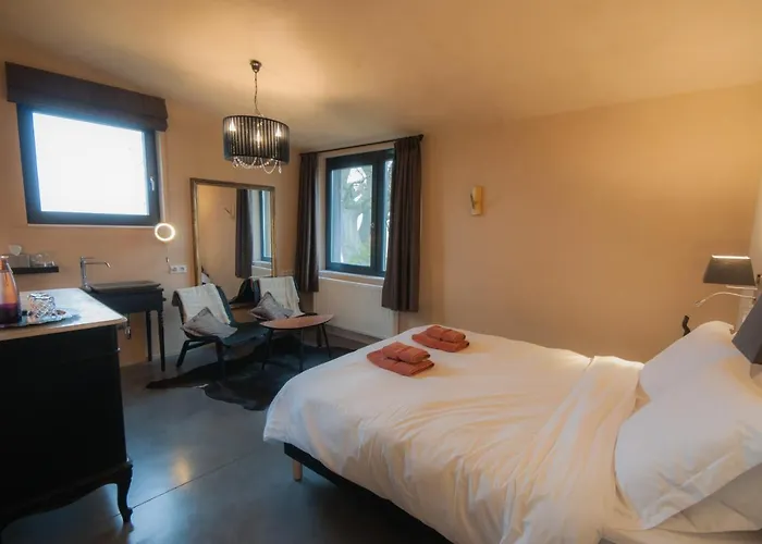 Cerf'titude Érezée